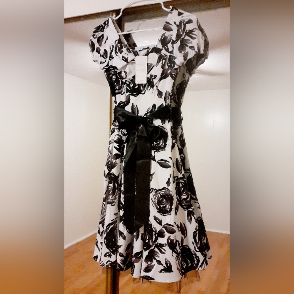 Heart & Roses Pin Up Inspired Dresses